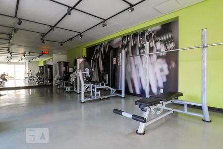 Apartamento para alugar com 36m², 1 quarto e sem vaga Apartamento para alugar com 36m², 1 quarto e sem vagaÁrea comum - Academia