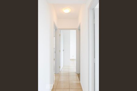 Corredor de apartamento para alugar com 3 quartos, 91m² em Sumaré, São Paulo
