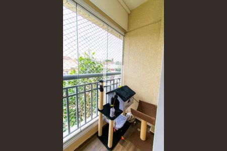 Varanda da Sala de apartamento para alugar com 2 quartos, 45m² em Vila Tolstoi, São Paulo