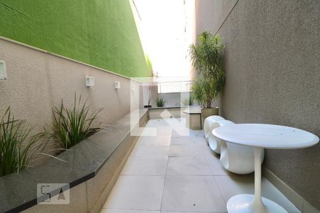 Studio para alugar com 39m², 1 quarto e sem vagaÁrea comum - Terraço