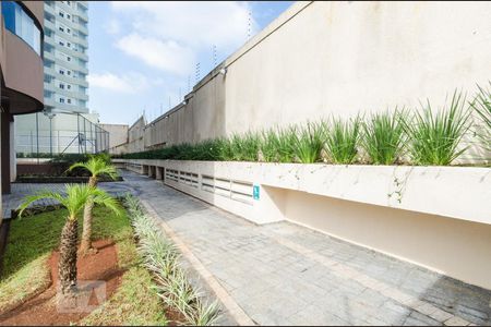 Apartamento para alugar com 220m², 3 quartos e 3 vagasÁrea comum