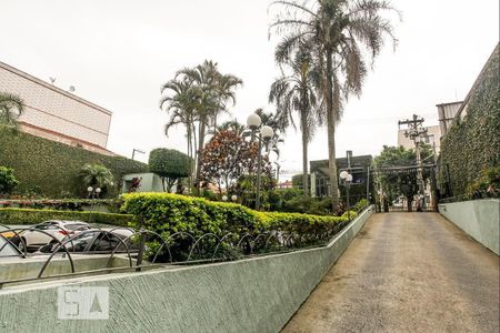 Apartamento para alugar com 60m², 3 quartos e 1 vagaÁrea comum 