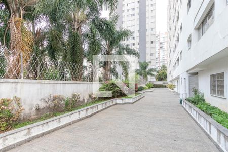 Apartamento para alugar com 70m², 2 quartos e 1 vaga Apartamento para alugar com 70m², 2 quartos e 1 vagaÁrea Comum