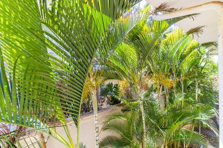 Casa de condomínio à venda com 425m², 4 quartos e 6 vagasVista da suíte 4