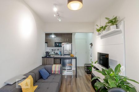 Sala  de apartamento para alugar com 2 quartos, 50m² em Vila Gumercindo, São Paulo