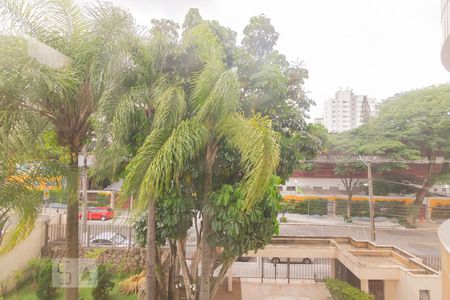 Vista Sala de apartamento para alugar com 4 quartos, 227m² em Planalto Paulista, São Paulo