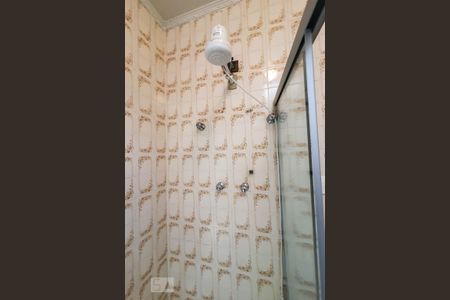 Casa para alugar com 250m², 3 quartos e 6 vagasDetalhe  Chuveiro  