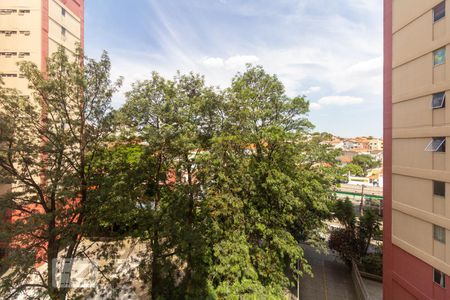 Vista Quarto 1 de apartamento para alugar com 3 quartos, 75m² em Jardim Esmeralda, São Paulo