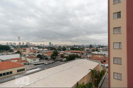 Apartamento para alugar com 56m², 2 quartos e 1 vaga Apartamento para alugar com 56m², 2 quartos e 1 vagaVista do Quarto 1