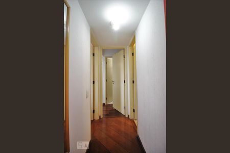 Corredor de apartamento para alugar com 2 quartos, 65m² em Super Quadra Morumbi, São Paulo