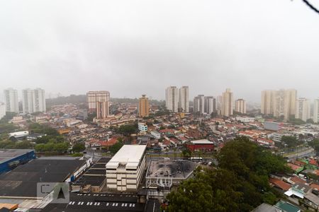 Apartamento para alugar com 82m², 3 quartos e 1 vaga Apartamento para alugar com 82m², 3 quartos e 1 vagaVista do Quarto 3