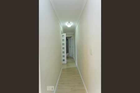 Corredor de apartamento para alugar com 2 quartos, 53m² em Jardim Ampliação, São Paulo