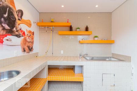 Apartamento para alugar com 53m², 2 quartos e 1 vaga Apartamento para alugar com 53m², 2 quartos e 1 vagaEspaço Pet