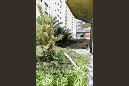 Apartamento para alugar com 265m², 3 quartos e 2 vagasÁrea comum