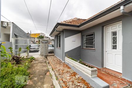 Casa para alugar com 45m², 1 quarto e sem vagaQuintal