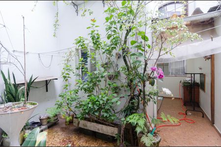 Casa à venda com 151m², 3 quartos e 2 vagas Casa à venda com 151m², 3 quartos e 2 vagasChurrasqueira