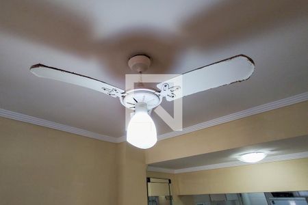 Kitnet de kitnet/studio para alugar com 1 quarto, 30m² em Cidade Ocian, Praia Grande