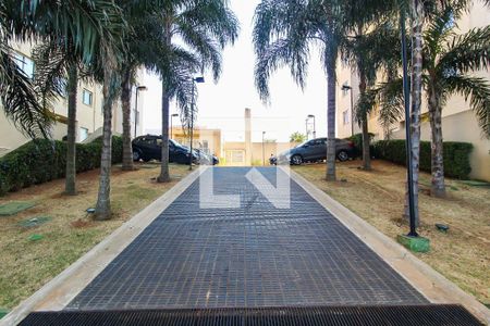 Apartamento para alugar com 41m², 2 quartos e sem vaga Apartamento para alugar com 41m², 2 quartos e sem vagaÁrea comum