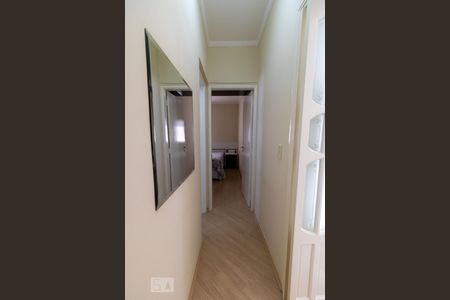 Corredor de apartamento para alugar com 2 quartos, 50m² em Vila Valparaíso, Santo André