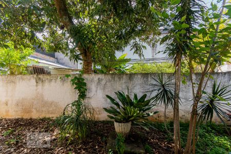 Vista do Quarto de casa para alugar com 1 quarto, 30m² em Campestre, Santo André