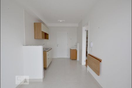 Sala de apartamento para alugar com 1 quarto, 32m² em Cambuci, São Paulo