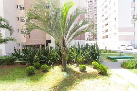 Apartamento à venda com 73m², 3 quartos e 1 vaga Apartamento à venda com 73m², 3 quartos e 1 vagaJardim