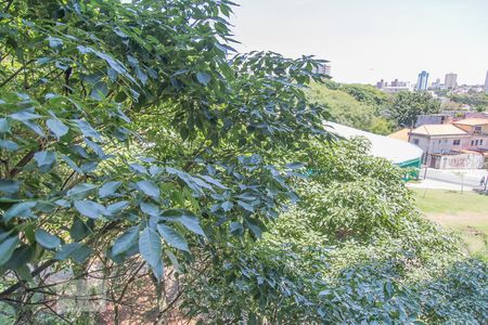 Vista da Varanda de apartamento para alugar com 2 quartos, 50m² em Vila Esperança, São Paulo