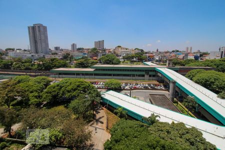 Apartamento para alugar com 50m², 2 quartos e 1 vagaVista do quarto 2