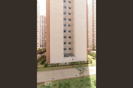 Apartamento para alugar com 77m², 3 quartos e 2 vagasVista quarto 2