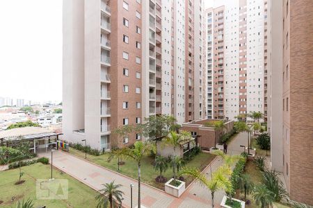 Vista varanda gourmet de apartamento para alugar com 3 quartos, 77m² em Jardim Flor da Montanha, Guarulhos