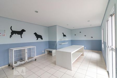 Apartamento para alugar com 77m², 3 quartos e 2 vagasPet care