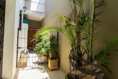 Casa à venda com 216m², 4 quartos e 3 vagasQuintal - Corredor