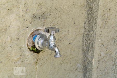 Casa à venda com 216m², 4 quartos e 3 vagasQuintal - Torneira