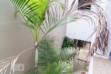 Casa à venda com 216m², 4 quartos e 3 vagasVista do quarto 1