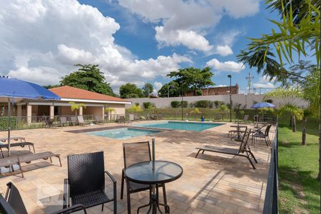 Área comum - Piscina de apartamento para alugar com 2 quartos, 58m² em Vila Satúrnia, Campinas