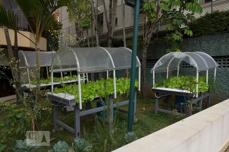 Apartamento à venda com 101m², 3 quartos e 2 vagasÁrea comum - Horta comunitária