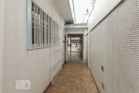 Casa à venda com 300m², 8 quartos e 9 vagas Casa à venda com 300m², 8 quartos e 9 vagasQuintal