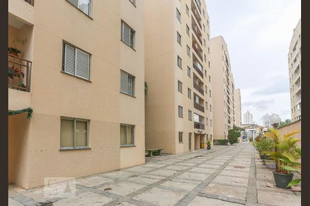 Apartamento para alugar com 52m², 2 quartos e 1 vagaArea Comum