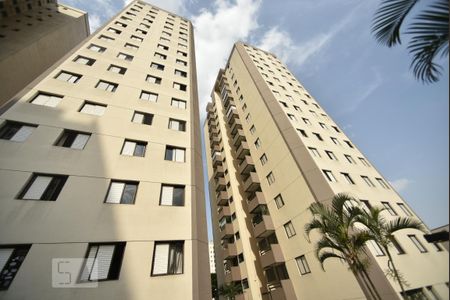 Área comum - fachada interna de apartamento para alugar com 3 quartos, 61m² em Vila Esperança, São Paulo