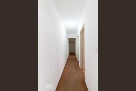 Corredor de apartamento para alugar com 2 quartos, 56m² em Vila Galvão, Guarulhos