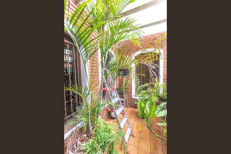 Casa para alugar com 530m², 4 quartos e 8 vagasJardim de inverno