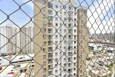 Vista da varanda de apartamento para alugar com 2 quartos, 53m² em Vila Moreira, São Paulo