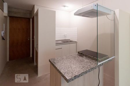 Studio de kitnet/studio para alugar com 1 quarto, 28m² em Vila Indiana, São Paulo