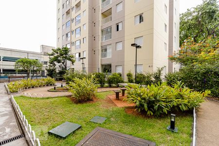 Apartamento para alugar com 64m², 2 quartos e 1 vaga Apartamento para alugar com 64m², 2 quartos e 1 vagaJardim