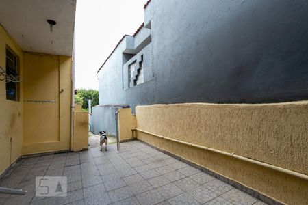 Casa à venda com 308m², 5 quartos e 3 vagas Casa à venda com 308m², 5 quartos e 3 vagasQuintal