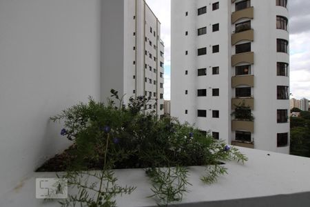 Apartamento à venda com 260m², 4 quartos e 2 vagasvaranda