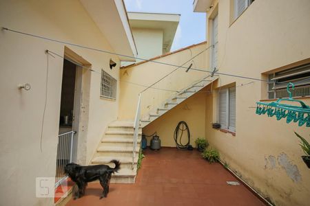 Casa à venda com 250m², 4 quartos e 5 vagasLavanderia