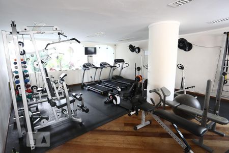 Área comum - Academia de apartamento para alugar com 2 quartos, 102m² em Vila Suzana, São Paulo