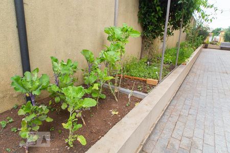 Apartamento à venda com 64m², 2 quartos e 1 vagaÁrea comum - Horta