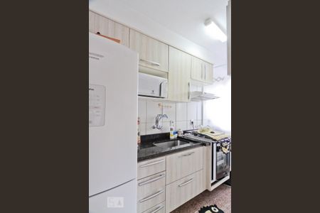 Cozinha de apartamento para alugar com 3 quartos, 49m² em Vila Amalia (zona Norte), São Paulo